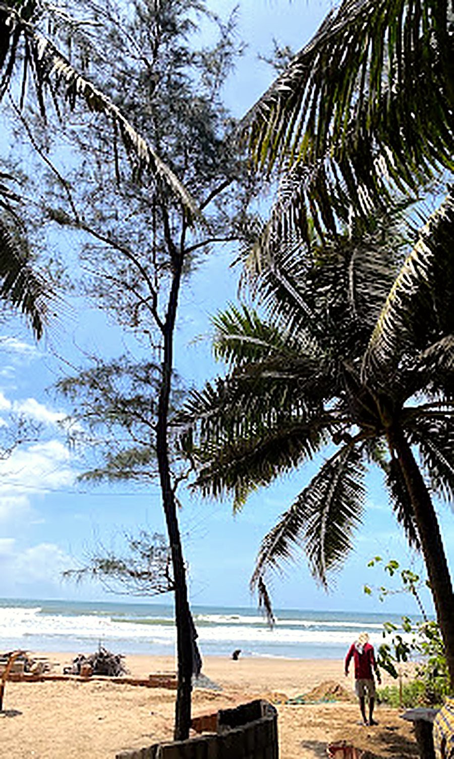 Palms leaning over Gokarna Main Beach